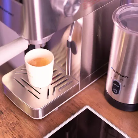 Calme & Style En Hyper Centre ペルピニャン