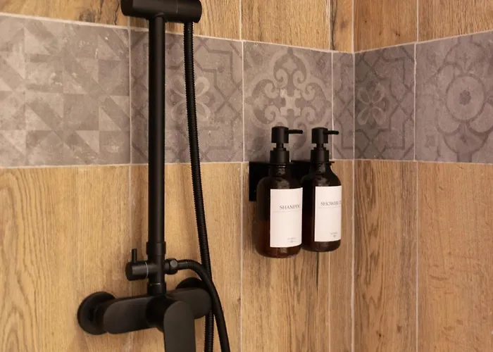 Calme & Style En Hyper Centre פרפיניין