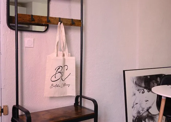 Calme & Style En Hyper Centre *