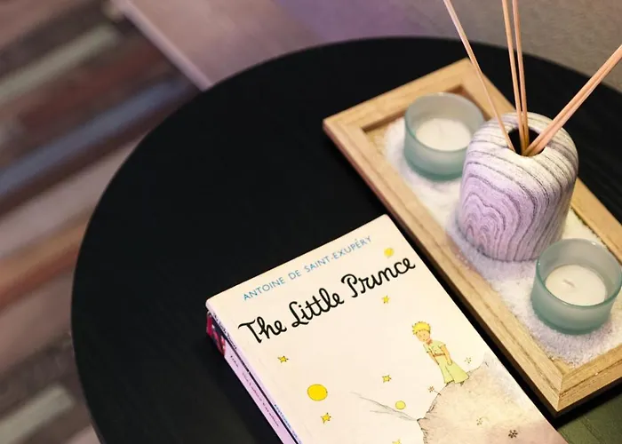 Calme & Style En Hyper Centre פרפיניין